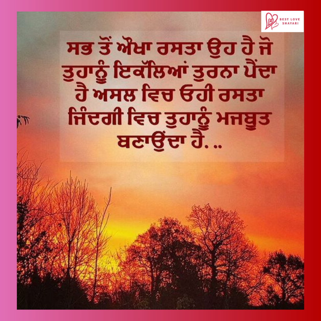 Punjabi Shayari Attitude Boy​