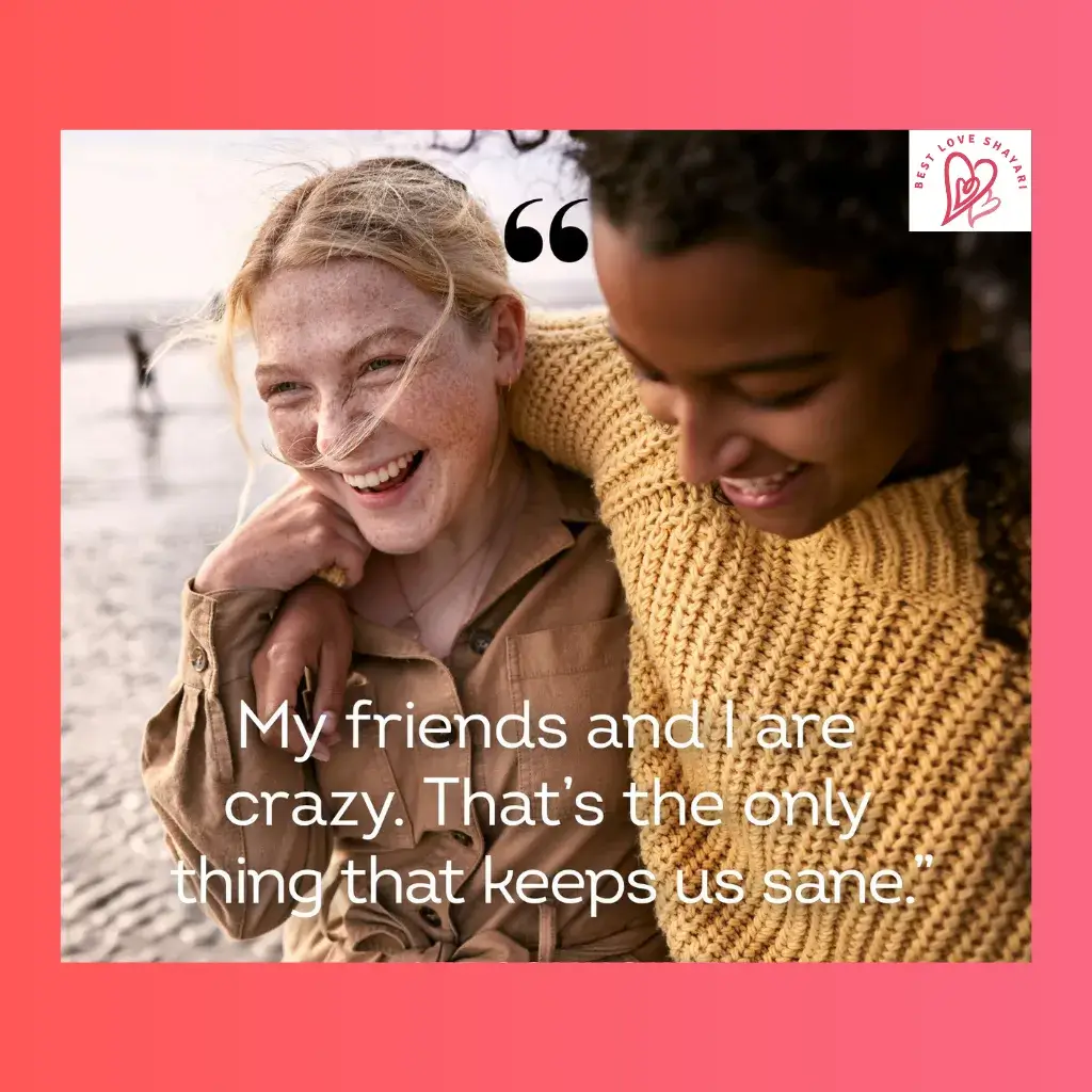 Funny Friendship Shayari in English