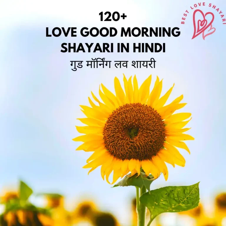 Love Good Morning Shayari in Hindi