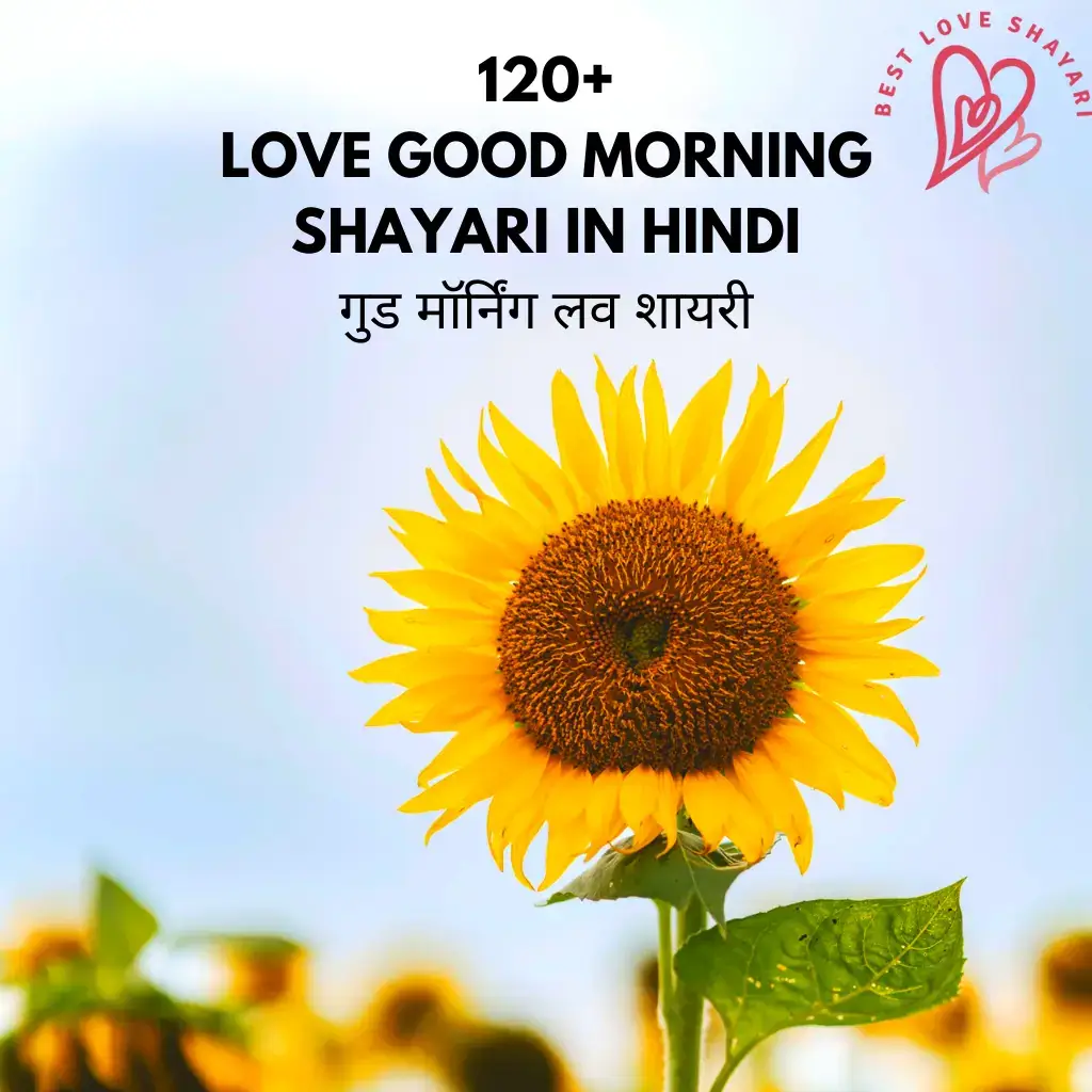 Love Good Morning Shayari in Hindi