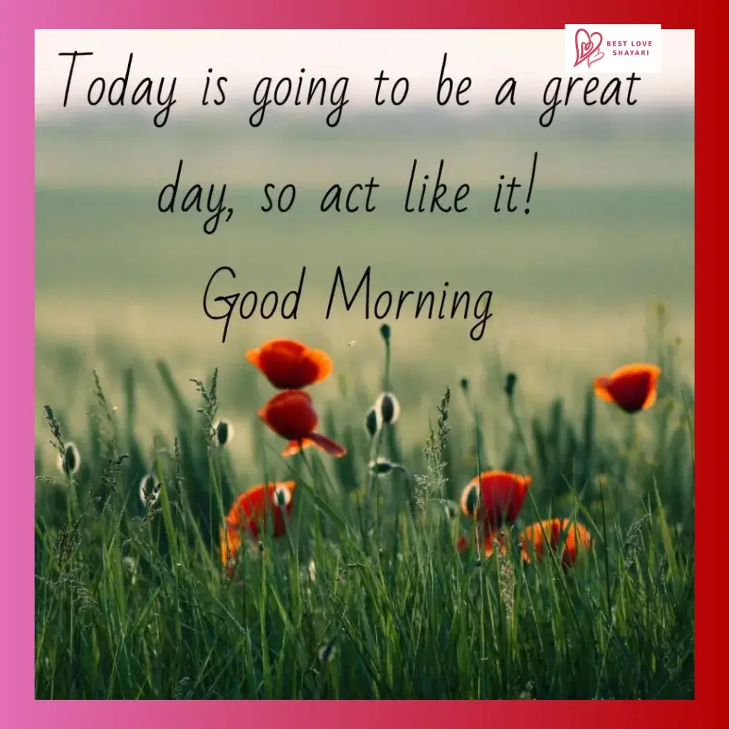 good morning shayari in english_