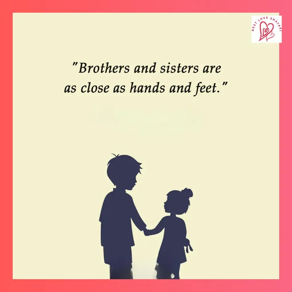 brother shayari in english_