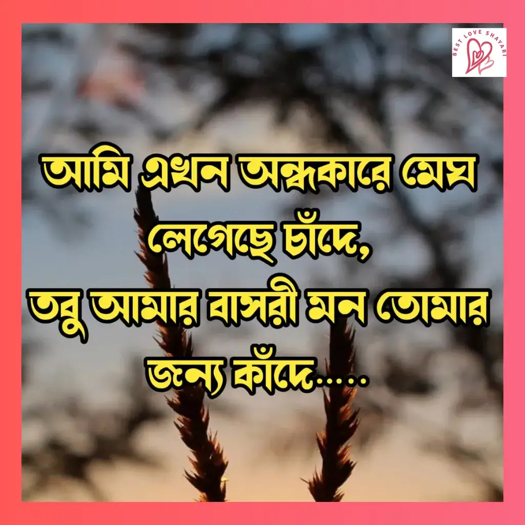 love story shayari bengali_